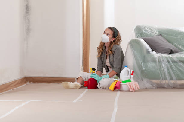 Reliable Hvac And Air Duct Mold Remediation contractor in Morristown, NJ by 24 Hour Mold Removal